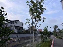 Dunman Road (D15), Condominium #607180191